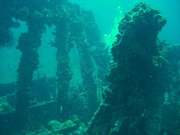 Rhone Wreck British Virgin Islands (c) Anja Knorr
