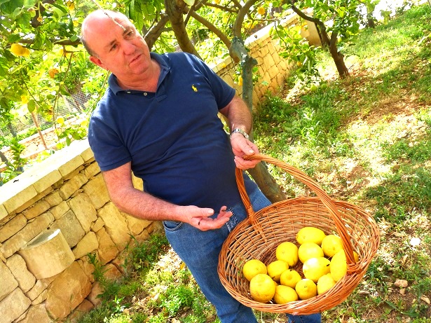 Zitronen Garten Malta (C) Anja Knorr