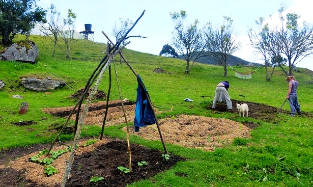La Calera Kolumbien Farmarbeit (c) Anja Knorr