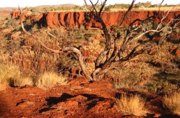 Australien Outback (c) Anja Knorr