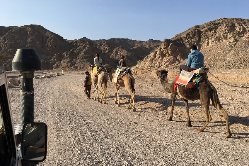 Mein Offroad Abenteuer In Der Negev Wuste Happybackpacker